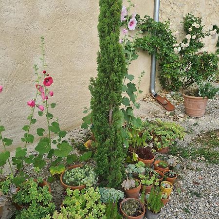 Charmant Logement A La Campagne Gazaupouy エクステリア 写真