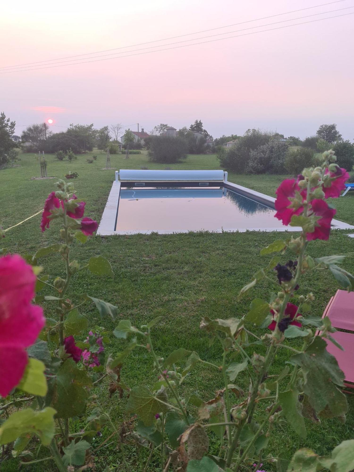 Charmant Logement A La Campagne Gazaupouy エクステリア 写真