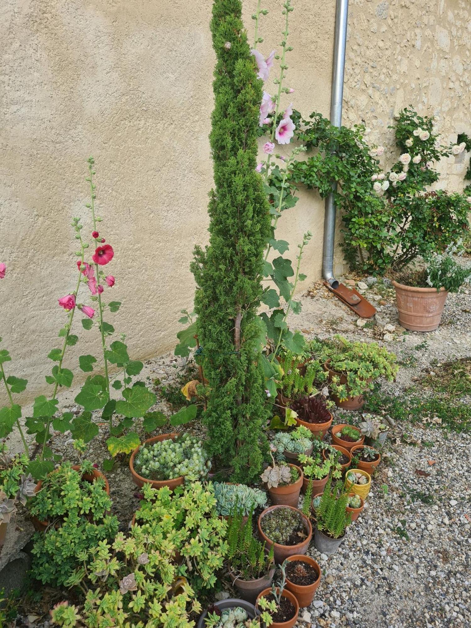Charmant Logement A La Campagne Gazaupouy エクステリア 写真