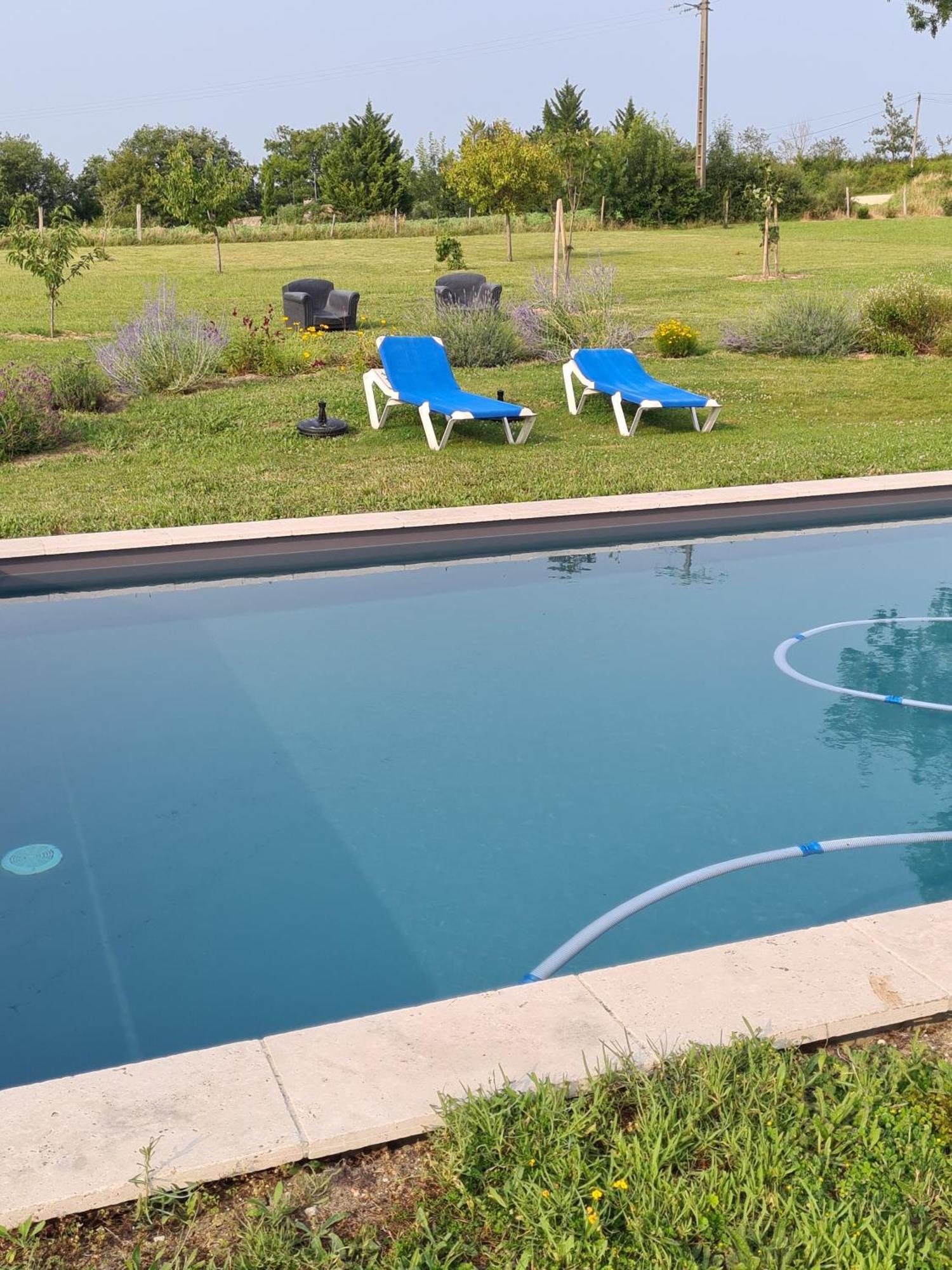 Charmant Logement A La Campagne Gazaupouy エクステリア 写真